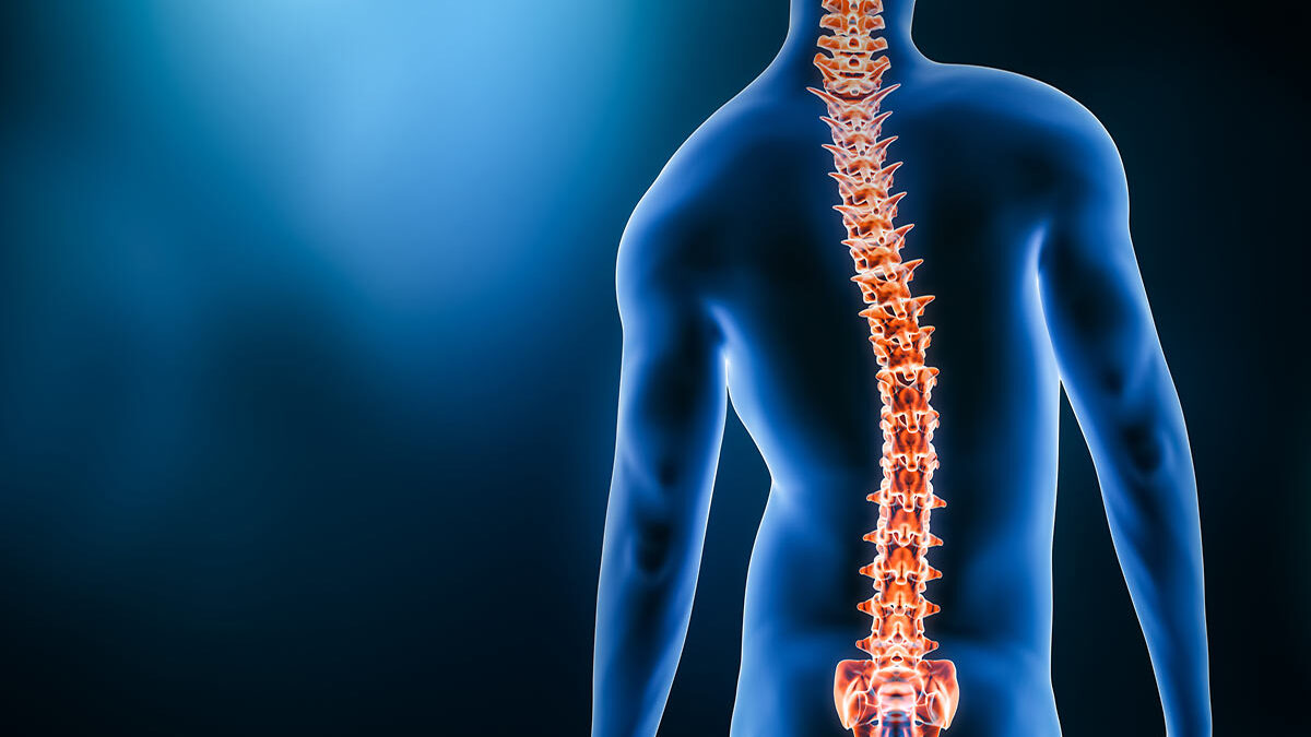 Why you should see a Neurosurgeon for your spine pain