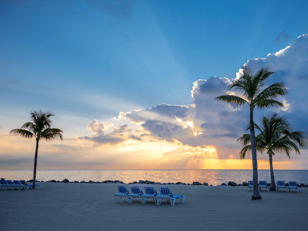 Spine Surgeon in Largo